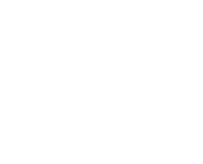 envyscapes-logo