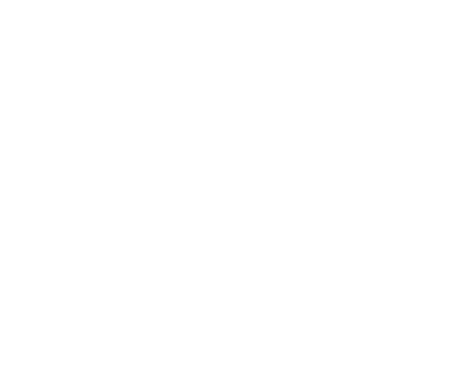 pins-and-aces-logo